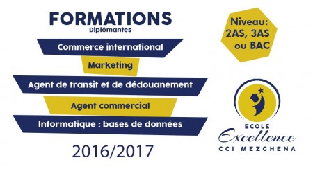 Ecole Excellence CCI Mezghena lance des formations Diplômantes